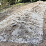 畑の真砂土の撤去