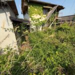 空き家周囲の草刈り作業