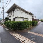 庭木・生垣の伐採と植木鉢の撤去作業