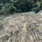 畑の真砂土の撤去